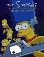 Simpsonit: 7. tuotantokausi (Etukansi)